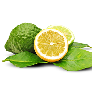 Huile essentielle de bergamote |   Fournisseur en gros d'huiles essentielles de qualité supérieure, fabricant OEM de marques privées - Product Image 5