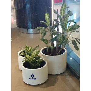 2026 FIBRECRAFTS Square Floor Durable Fibre Glass PE Coated Modern Stylish Outdoor Decorative <b>Flower</b> Pots Planters - Product Image 5