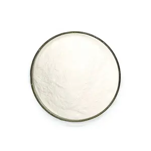 SD chemicals import from china chemical industries company supplier hpmc 200000 for wall putty