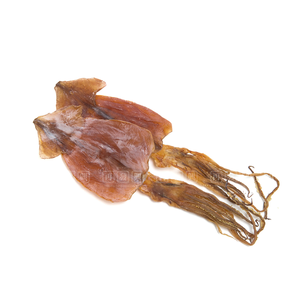 Hueso de Sepia Seco de Alta Calidad Hecho en Fábrica, 100% Natural, Grado 1, Paquete al Vacío de 10 kg, Mariscos, Vida Útil de 12-24 Meses - Product Image 4