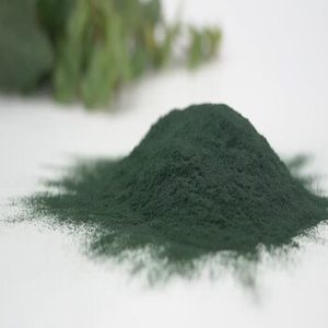 Espirulina Pura en Polvo al por Mayor, Alta en Proteínas (60%), Alga Verde-Azul, Antioxidante, para Pérdida de Peso, Vegano, Sin OMG, en Botella - Product Image 3