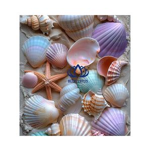BEST SELLER Décoration en coquillages naturels |   Ensemble miroir et carillon éolien en coquillages, artisanal et de haute qualité - Product Image 1