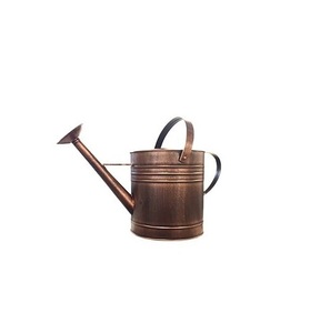 Arrosoir de jardin en métal pour arroser les plantes, les fleurs et les arbustes, corps en acier durable avec long bec verseur et poignée confortable - Product Image 5