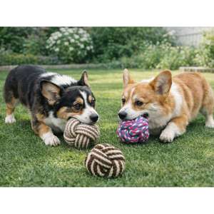 Juguete Masticable para Mascotas Yommy, Pelota de Cuerda Trenzada de 3 Colores, Juguete Dental para Perros - Product Image 2