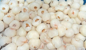 Offrez-vous le goût pur des litchis congelés transformés et congelés à leur apogée pour une qualité sans compromis - Product Image 6