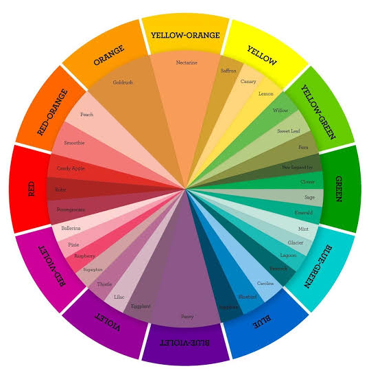 สีดำสีกากี