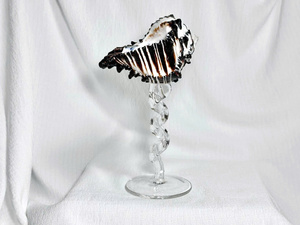 Factory Direct Custom Reusable Seashell Glass Wine <b>Beer</b> Vietnam Manufacturer Luxury Home Decor Restaurant Hotel Bulk Supply - Product Image 3