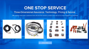 Cable en Y Personalizado, Arnés de Cableado de 12 Pines, Uno Macho a Dos Hembras, Arnés de Cableado de 15 cm - Product Image 6