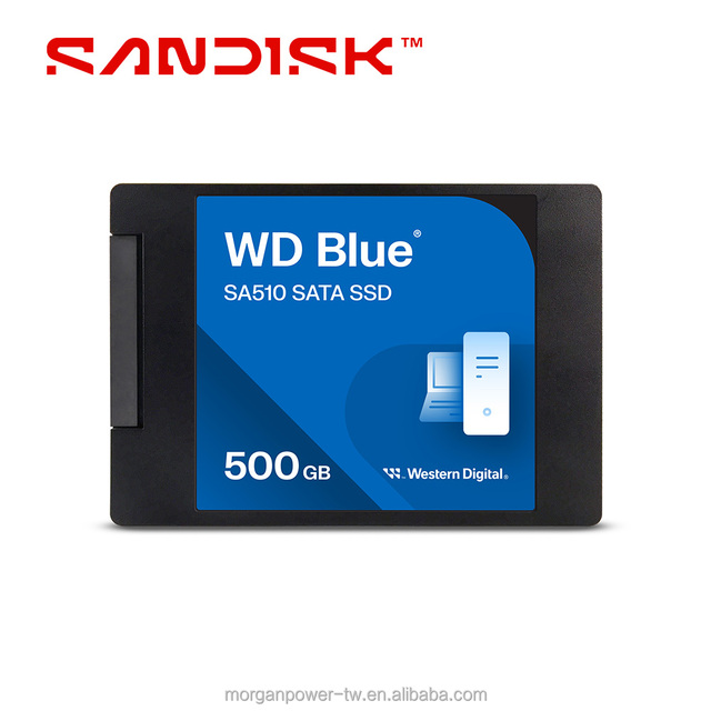 WD Blue SA510 SATA Internal Solid State Drive SSD 500G