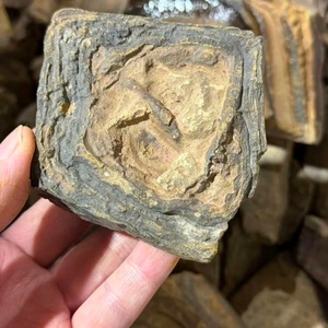 Bois pétrifié naturel d'Égypte, pierre de bois fossile brute pour l'aménagement paysager et la décoration - Fossile de bois ancien de qualité supérieure - Product Image 5