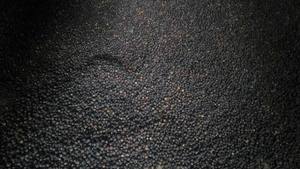 Pimienta negra vietnamita de alta calidad, granos de pimienta a granel, MC Asta, preguntas frecuentes, fiabilidad para sabor caliente y picante, producto individual de hierbas y especias - Product Image 3