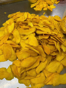 99 Gold Data Rodajas de Mango Deshidratadas Procesadas por AD, Conservadas en Agua, Dulces y Masticables, para Uso como Snack o Postre, Paquete a Granel, Origen Dong Nai - Product Image 6