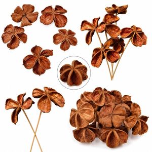 AQUA VRIKSHA Capsules de lotus sauvage séchées naturelles de qualité supérieure pour aquarium, bassin à poissons Betta, bassin à crevettes et aquascaping | 9-11 cm | Lot de 10 - Product Image 6