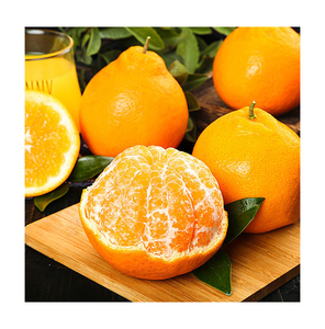Naranja ombligo fresca/naranja mandarina fresca/naranjas - Product Image 5