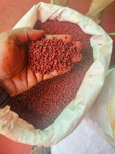 Graines d'annatto séchées en vrac, épice achiot, ingrédient colorant alimentaire naturel, 99 Gold Data, tranchées, 1 kg, pour la cuisson du fromage et du riz - Product Image 3