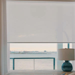 현대 빛 필터링 창 음영 하이 퀄리티 투명 쉬어 롤러 블라인드 전기 수직 내장 일반 폴리에스터 - Product Image 1