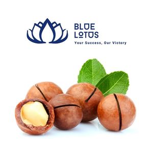 NUESITOS DE MACADAMIA TOSTADOS DE ALTA CALIDAD, ECOLÓGICOS Y SOSTENIBLES PARA LA DIETA DIARIA, ¡EN OFERTA! - Product Image 1