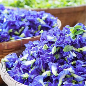 ผงดอกอัญชัน - Product Image 1