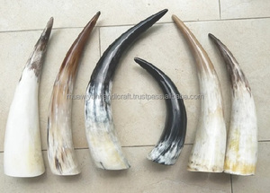 100% Corne à boire OX de qualité naturelle Corne à bière Meilleure qualité Corne à boire OX faite à la main naturelle - Product Image 2