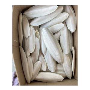 Calamar Seco Entero 20-40cm 0.5-2kg Primera Calidad Alto Contenido Proteico Mariscos Empaque a Granel Origen Vietnam 2 Años de Vida Útil - Product Image 1