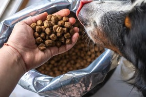 Croquettes pour chiens véganes OEM, nourriture sèche pour chiens à base de plantes biologiques, riche en protéines, sans céréales, sans cruauté, nutrition équilibrée - Product Image 5