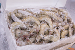 Viande de bœuf hachée congelée entière de qualité supérieure, nutritive, en gros, prête à l'exportation, durée de conservation de 24 mois, pour la restauration - Product Image 6