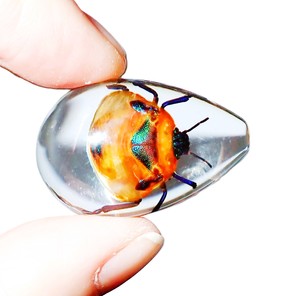 Cabujón de Plástico con Espécimen Real de Insecto Floral, Corte en Forma de Pera, 33x22 mm, Base Plana Transparente para Manualidades y Joyería - Product Image 2