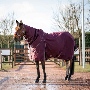 Couvertures d'équitation imperméables de haute qualité avec rembourrage en coton, doublure douce, tissu respirant pour un confort et une protection optimaux, taille OEM - Product Image 4