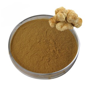 Poudre de champignon crinière de lion naturelle pour la santé du cerveau, la concentration et le soutien cognitif – Poudre de crinière de lion haute puissance d'Inde - Product Image 2