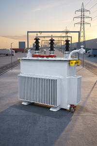 Transformador de Distribución Industrial de 800 KVA Refrigerado por Aceite, Clase de Voltaje 20 KV, Secundario 400V, 50 Hz, Refrigeración ONAN ONAF, Cobre - Product Image 2