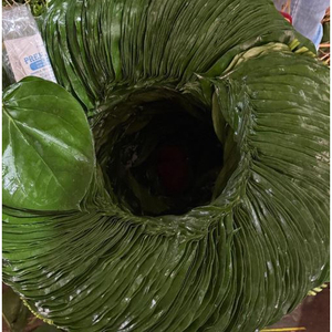 ใบพลูสดพร้อมที่ล็อคความชื้นการเตรียม paan แบบดั้งเดิมสำหรับการใช้อาหารที่ปลอดภัยในราคาที่ดีที่สุดโดยผู้ส่งออก - Product Image 1