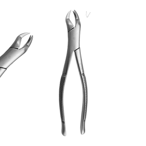 คีมสกัด88R เนวิอุส Fig ฟันกรามบนขวาเครื่องมือผ่าตัดทางทันตกรรมแบบ starnderd แบบอเมริกัน - Product Image 1