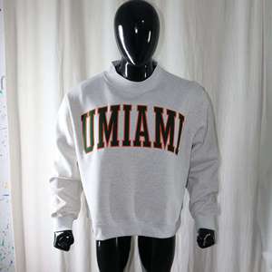 Sweat-shirt en molleton gris cendré UMIAMI à col rond, 100% coton, broderie appliquée, coupe ample unisexe, Info.fzyps Sports - Product Image 1