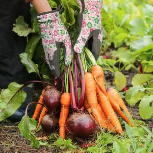 Guantes de Trabajo para Jardín de Ajuste Cómodo, Directo de Fábrica, Tejido Elástico y Transpirable, Palma de Cuero, para Jardinería y Paisajismo - Product Image 5