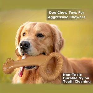 Jouet à mâcher en nylon pour chien, brosse à dents interactive, saveur bœuf simulée, pour les molaires - Product Image 3