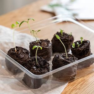 35mm &42mm Peat Pellet Seed Starter Soil for Growing Herbs, Plant, Flowers, <b>Vegetables</b> From Eco2go Vietnam - Product Image 3