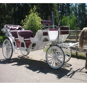 Carrozas tiradas por caballos para excursiones, limusina para bodas, carroza Victoria tirada por caballos en venta en California, EE. UU. - Product Image 1