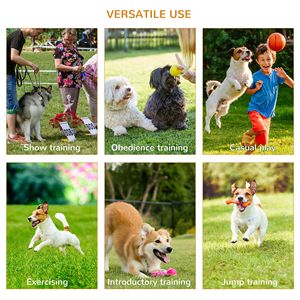 Set Portatile Premium per Addestramento Agility Cani a 4 Pezzi: Ostacoli Gialli per Salto in Altezza, Tunnel, Pali e Anelli - Product Image 5