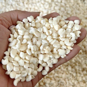 Maïs Blanc de Qualité Supérieure en Gros Prêt à Expédier – Qualité Alimentaire, Service OEM, Approvisionnement en Vrac, Meilleure Qualité pour l'Exportation - Product Image 6