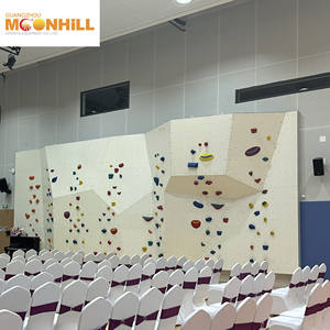 Kletterwand Erwachsene Klettergerüst Kletter struktur Spiele für Indoor-Spielplatz - Product Image 4