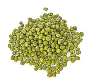 Lentejas Verdes Moong Dal Enteras Premium, Venta al por Mayor, Exportación B2B - Product Image 2