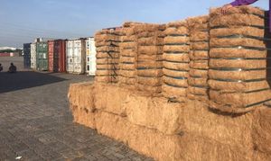 Fibras de Coco Naturales Premium en Pacas |   Fibra de Coco Cruda Ecológica y Sostenible para Hilado, Colchones y Agricultura - Product Image 6