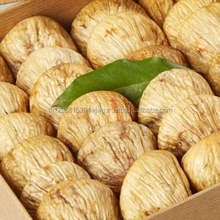 เมล็ดหมากฝรั่งดิบคุณภาพส่งออกขายดีที่สุด เกรดพรีเมียมจากประเทศไทย - Product Image 4