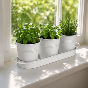 PERFNIQUE Large Indoor/Outdoor Herb Garden Planter Powder Coated Metal Window Pots Windowsill Tray Durable <b>Lightweight</b> Drainage - Product Image 1