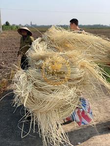 Materia prima de núcleo de ratán de fábrica Takimex vietnamita para hacer artesanías a granel cantidad y precio más barato - Product Image 3