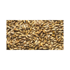 Aliments pour animaux naturels et biologiques de première qualité en gros, orge en sac de 50 kg en provenance des Pays-Bas avec une durée de conservation de 2 ans - Product Image 3