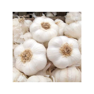 Ail blanc indien frais de qualité supérieure, bulbes à l'arôme naturel intense, idéal pour la cuisine et la transformation alimentaire, disponible en gros - Product Image 1