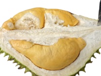 Groothandel Premium Hoge Kwaliteit D101 King Durian Vers Fruit Snelle Levering 4,5kg voor Vele Durianliefhebbers Kinderen Vietnam