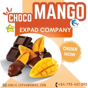 Luxury Tropical <b>Dried</b> <b>Mango</b> Covered With Chocolate - Product Image 1