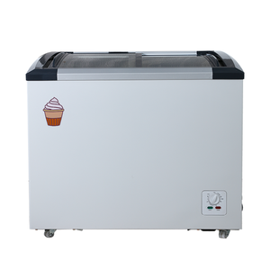 Réfrigérateur-congélateur commercial pour supermarché, vitrine à glace à double porte coulissante incurvée en verre, <span class=keywords><strong>classe</strong></span> énergétique 248L - Product Image 4